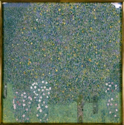 Rosensträuche unter Bäumen